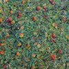 'Pardillos en un manzano' 2012 · Óleo sobre lienzo · 85x61