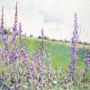 'Campo con flores' 2001 · Óleo sobre lienzo · 65x100 · Colección particular