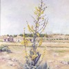 'Planta Amarilla' 1996 · Óleo sobre lienzo · 100x81· Colección particular