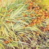 'Plantas' 2001 · Óleo sobre lienzo · 65x70 · Colección particular