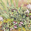 'Plantas' 2002 · Óleo sobre lienzo · 46x65 · Colección particular