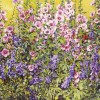 'Plantas con flores rosa y violeta' 2002 · Óleo sobre lienzo · 89x116 · Colección particular