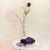 'Tulipan negro' 1997 · Óleo sobre lienzo · 81x65 · Colección particular
